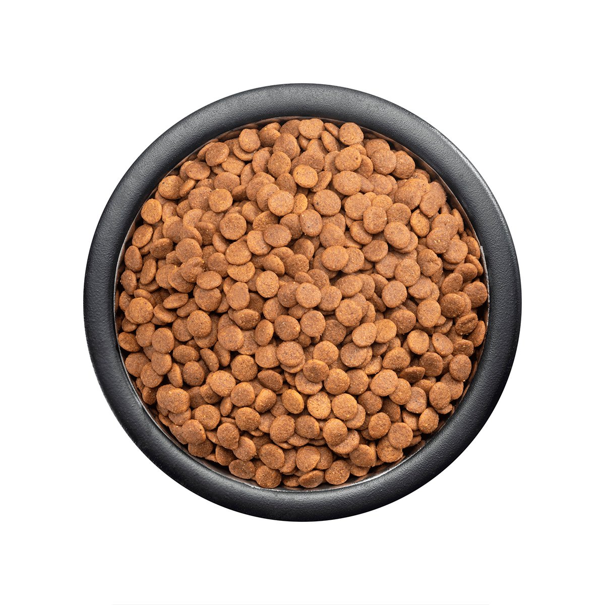 Alimento Pro Plan Cachorro Razas Medianas