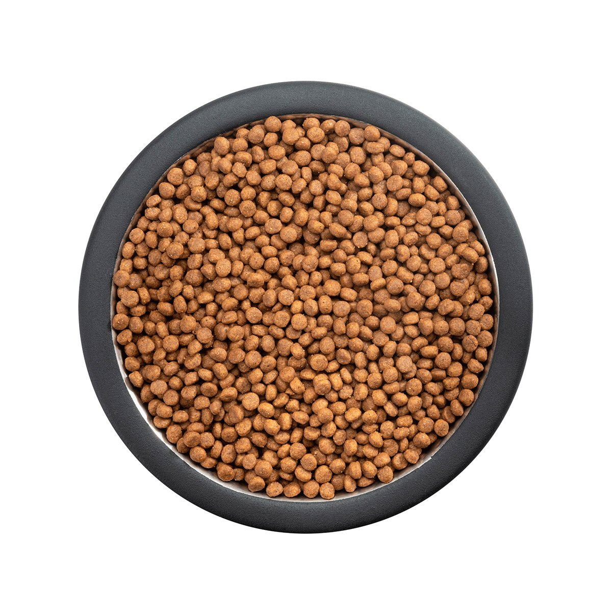 Alimento Pro Plan Cachorro Razas Pequeñas