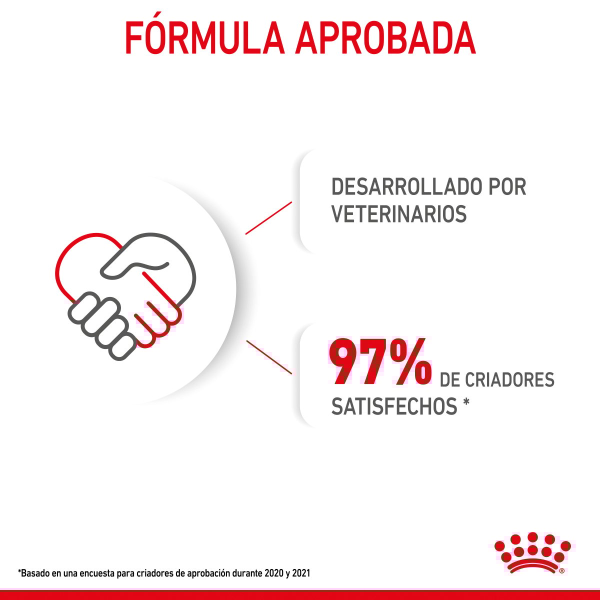 Alimento Royal Canin Para Perro Cachorro Raza Grande