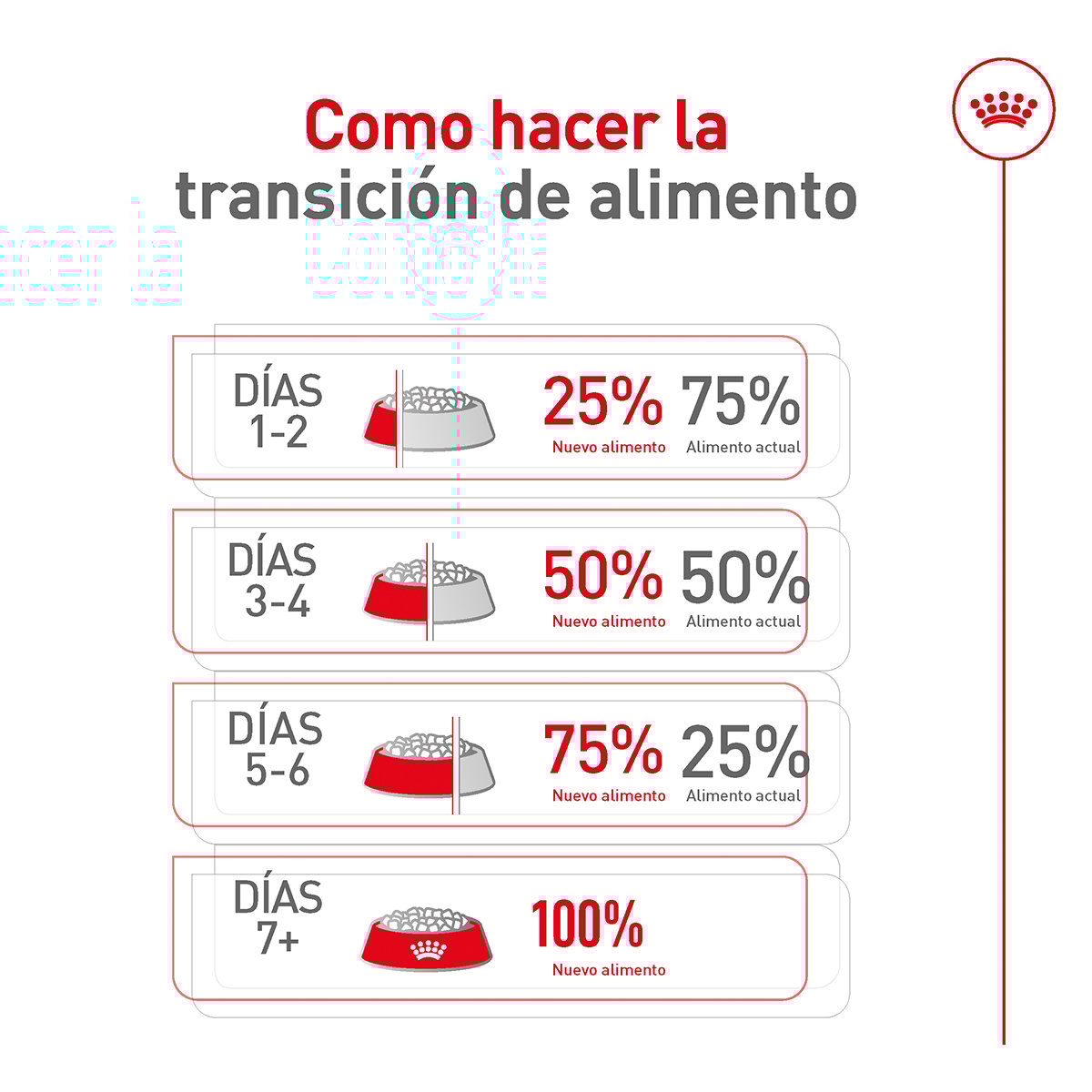 Alimento Royal Canin Adulto Razas Pequeñas