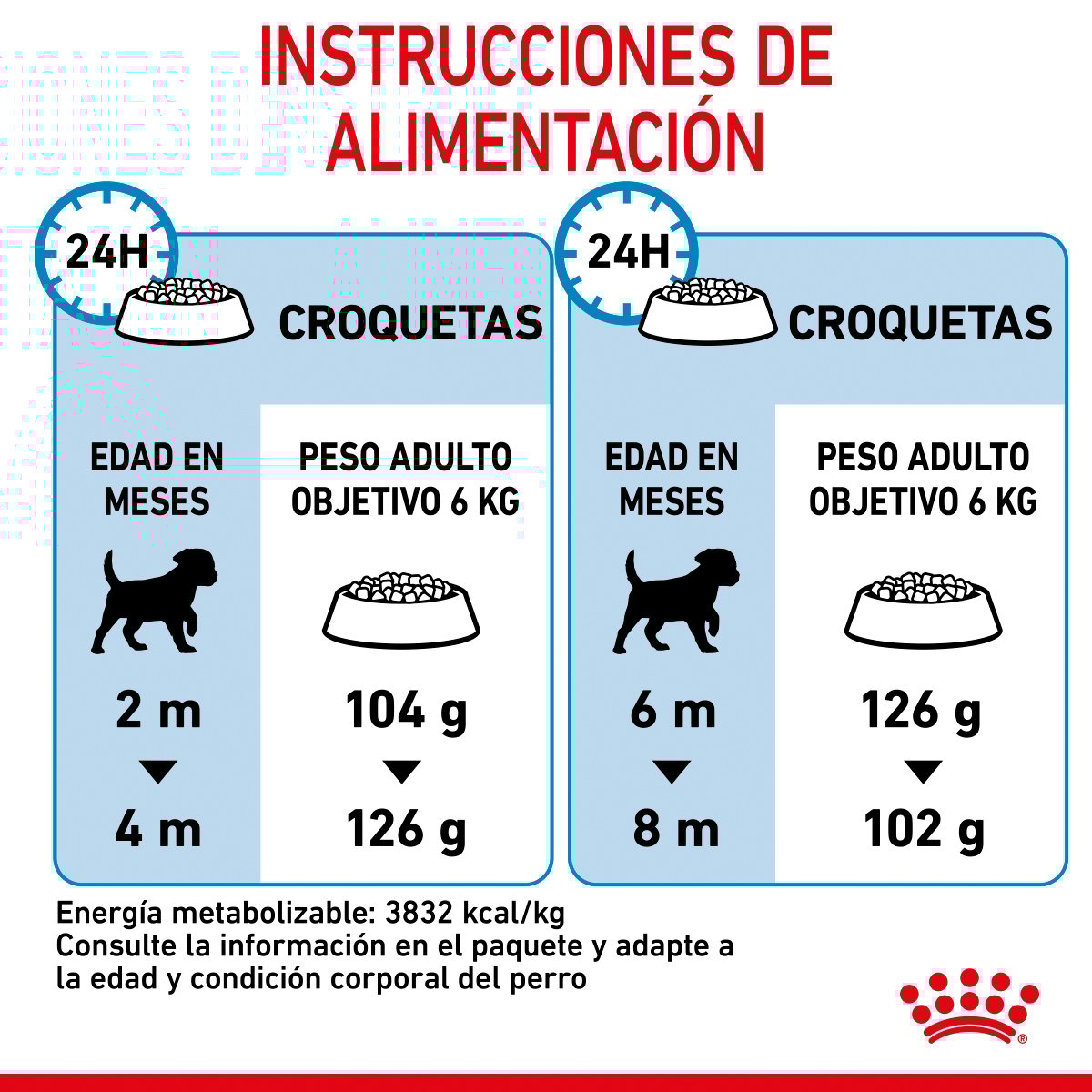 Alimento Royal Canin Para Perro Cachorro Raza Pequeña