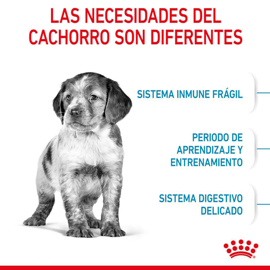 Alimento Royal Canin Para Perro Cachorro Raza Mediana
