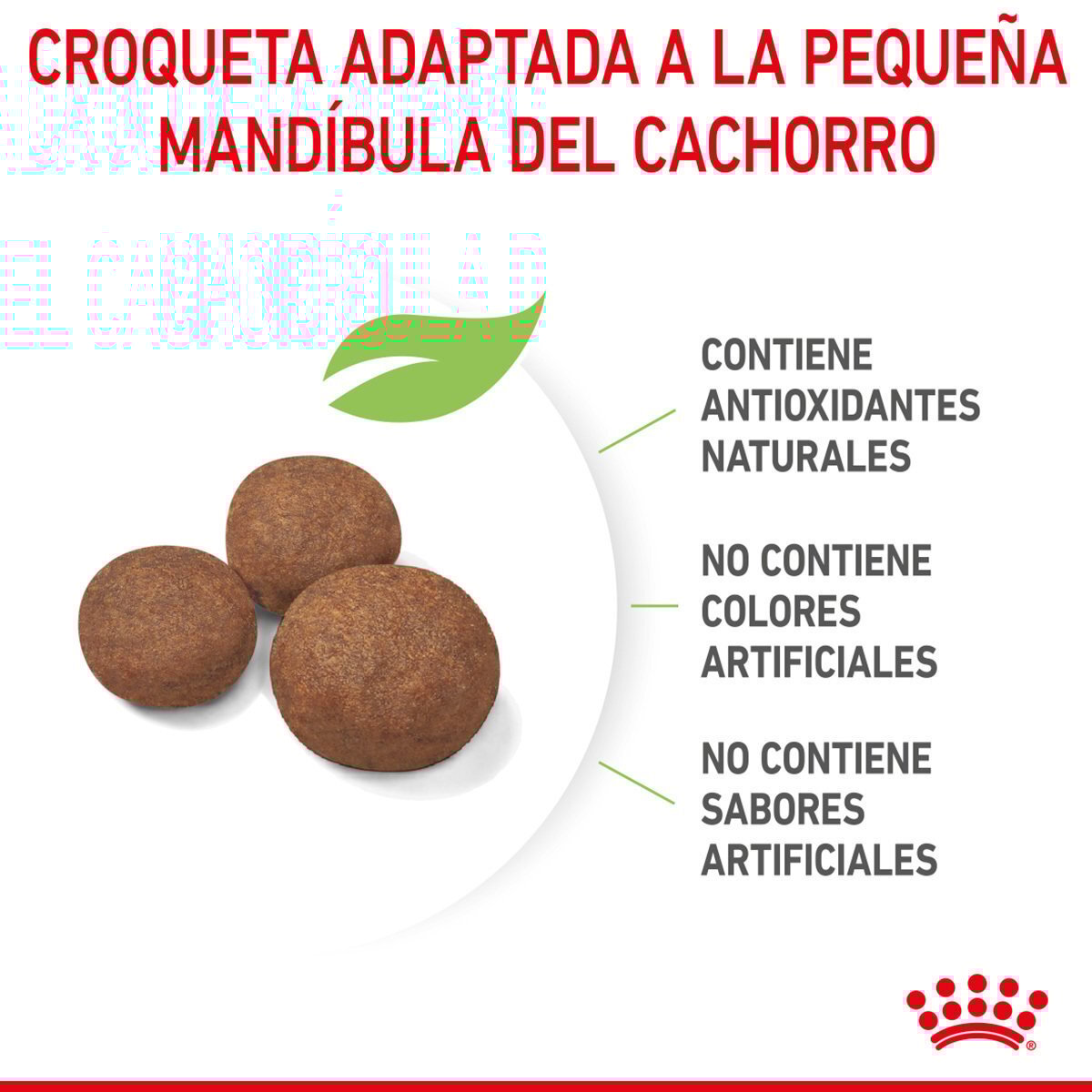 Alimento Royal Canin Para Perro Cachorro Raza Mediana