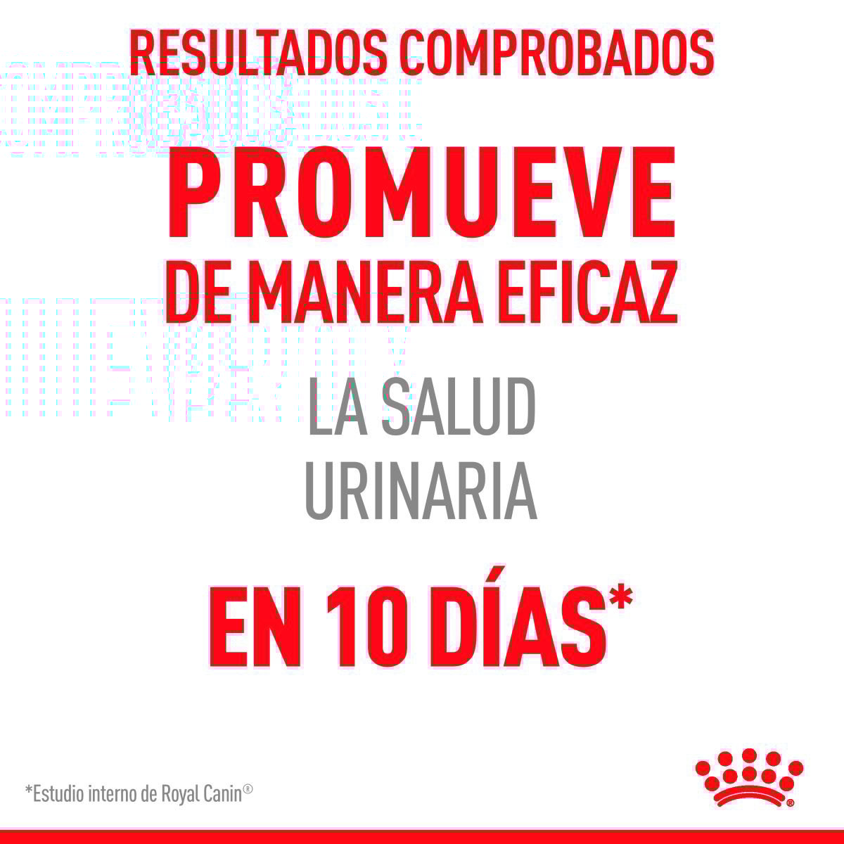 Royal Canin Alimento Húmedo Cuidado Urinario para Gato Adulto 85 g