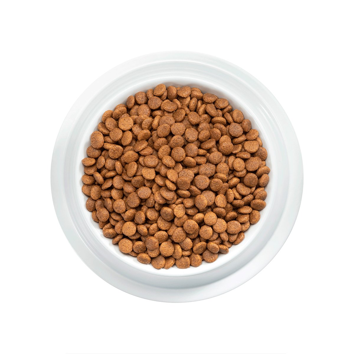 Alimento Pro Plan Gato Adulto Con OPTIPREBIO