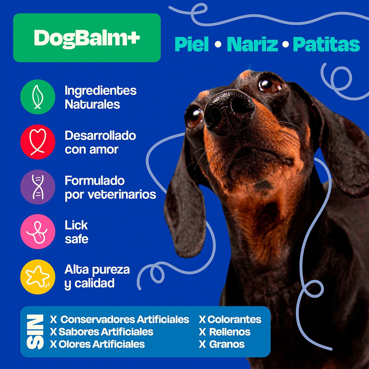 Dogelthy Dog Balm Bálsamo Hidratante para Piel Patitas y Nariz para Perro 50 g