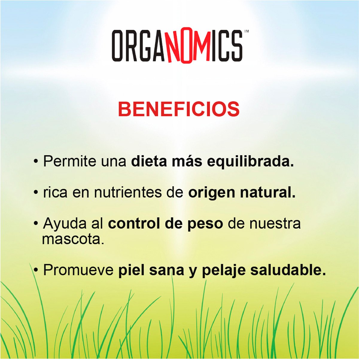 Alimento Organomics Cerdo y Res Para Perro Lata 354g