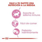 Alimento Royal Canin Kitten Para Gato Slices in Gravy Lata 85g