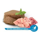 Nupec Lata Kitten 100 g