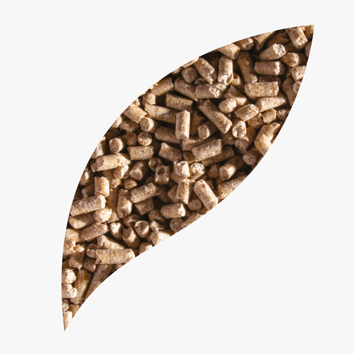 Pelea Reproductina 5kg