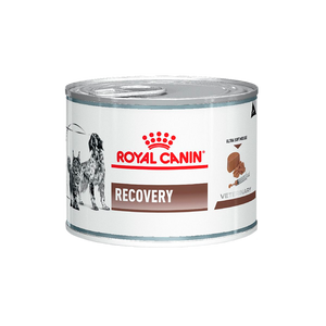Alimento Royal Canin Recovery Para Perro y Gato Lata 145g