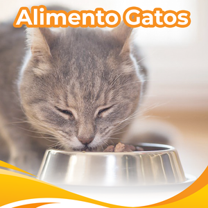 Alimento para gatos