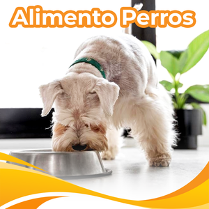 Alimento para Perro