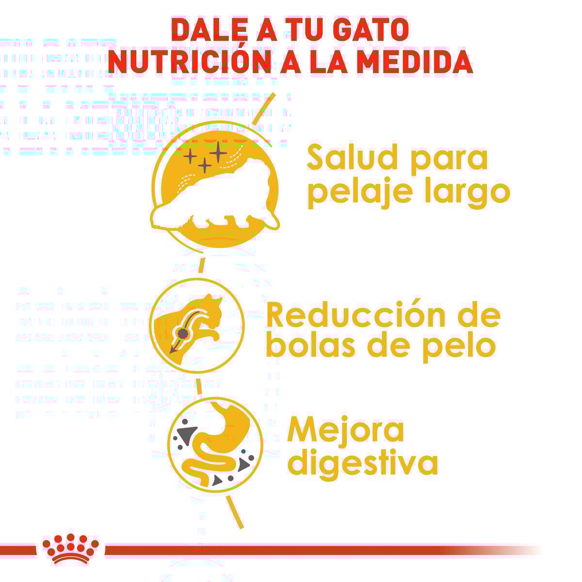 Alimento Royal Canin Persa Adulto 3.18kg