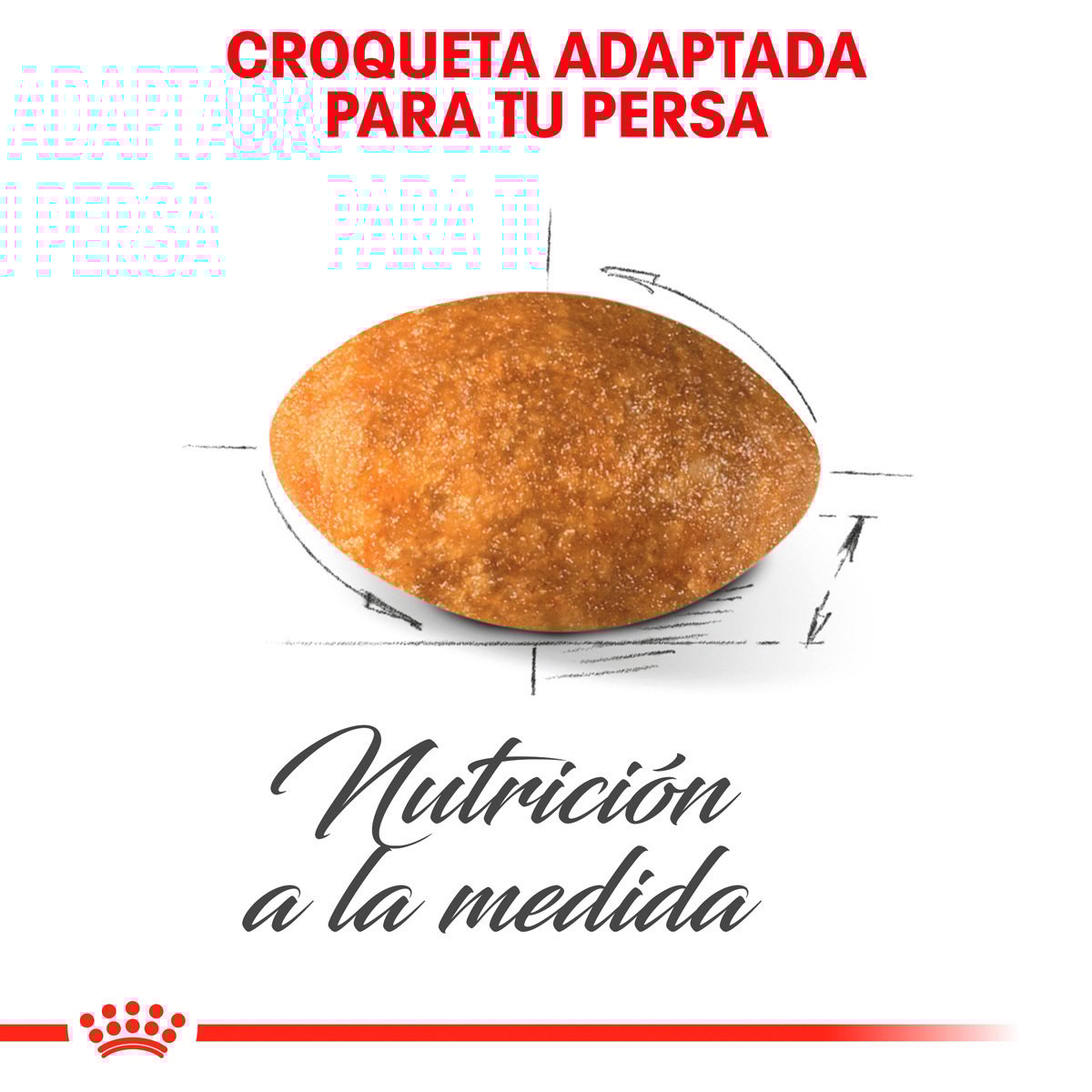 Alimento Royal Canin Persa Adulto 3.18kg