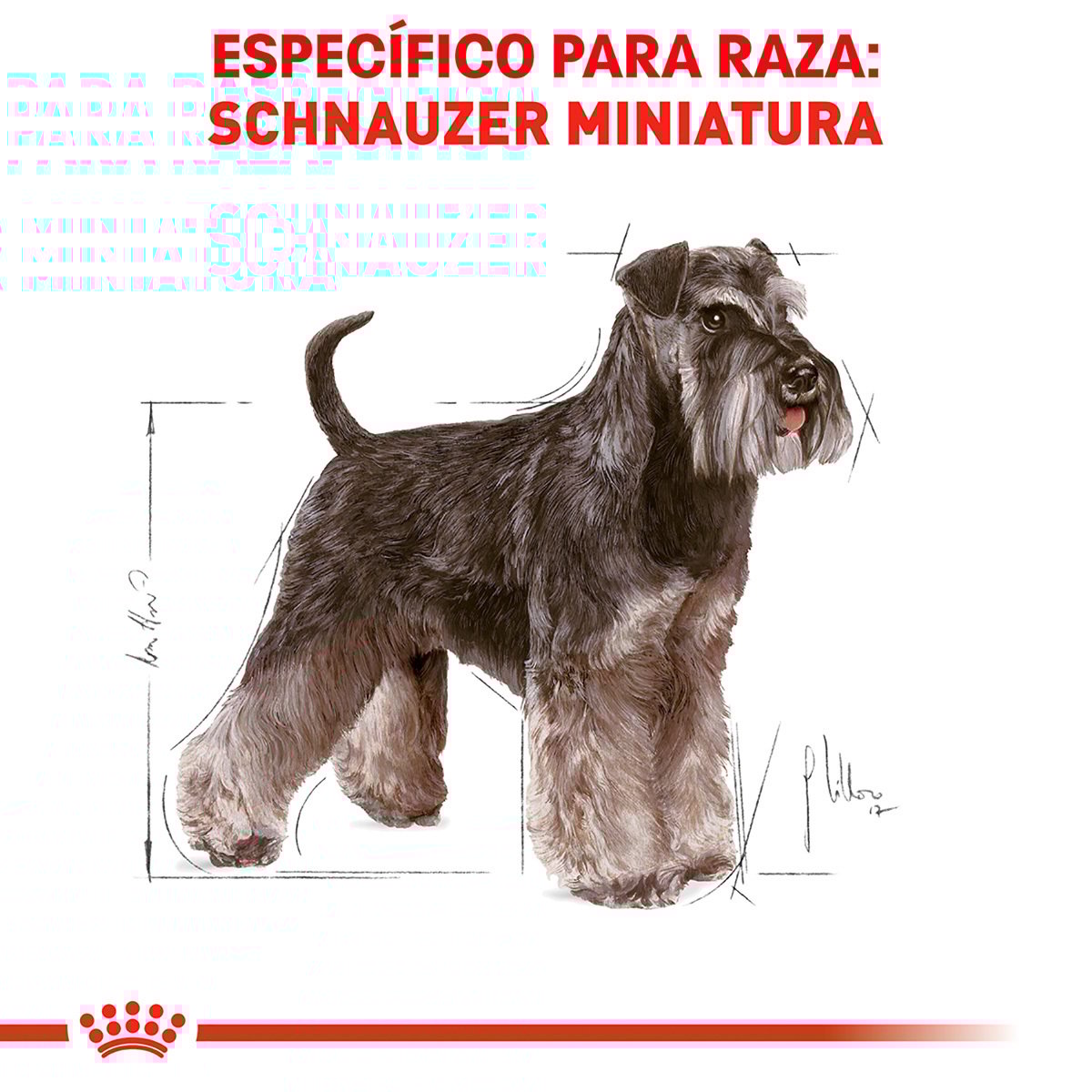 Alimento Royal Canin BHN Miniature Schnauzer Adulto 4.54kg