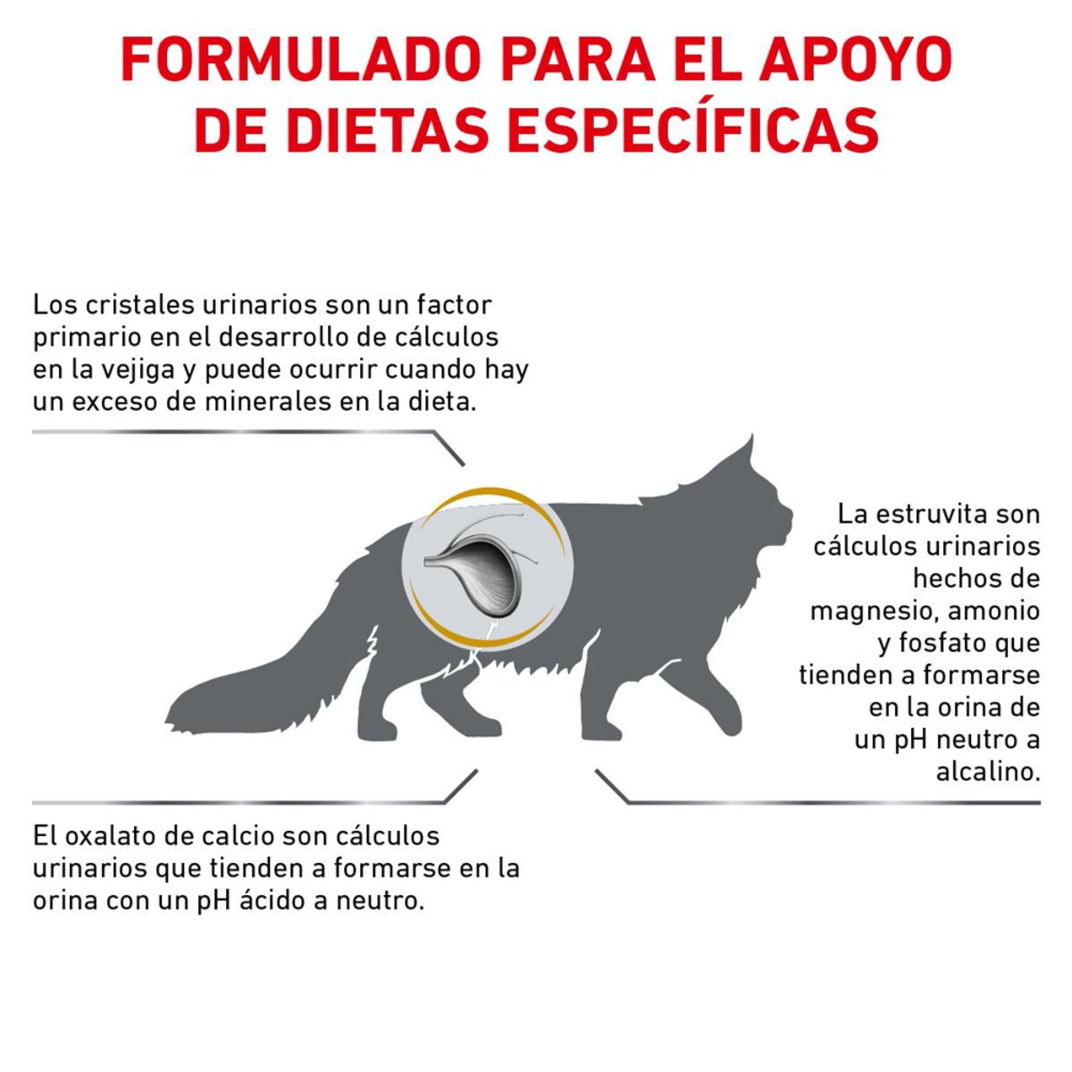 Alimento Royal Canin Urinary SO Para Gato