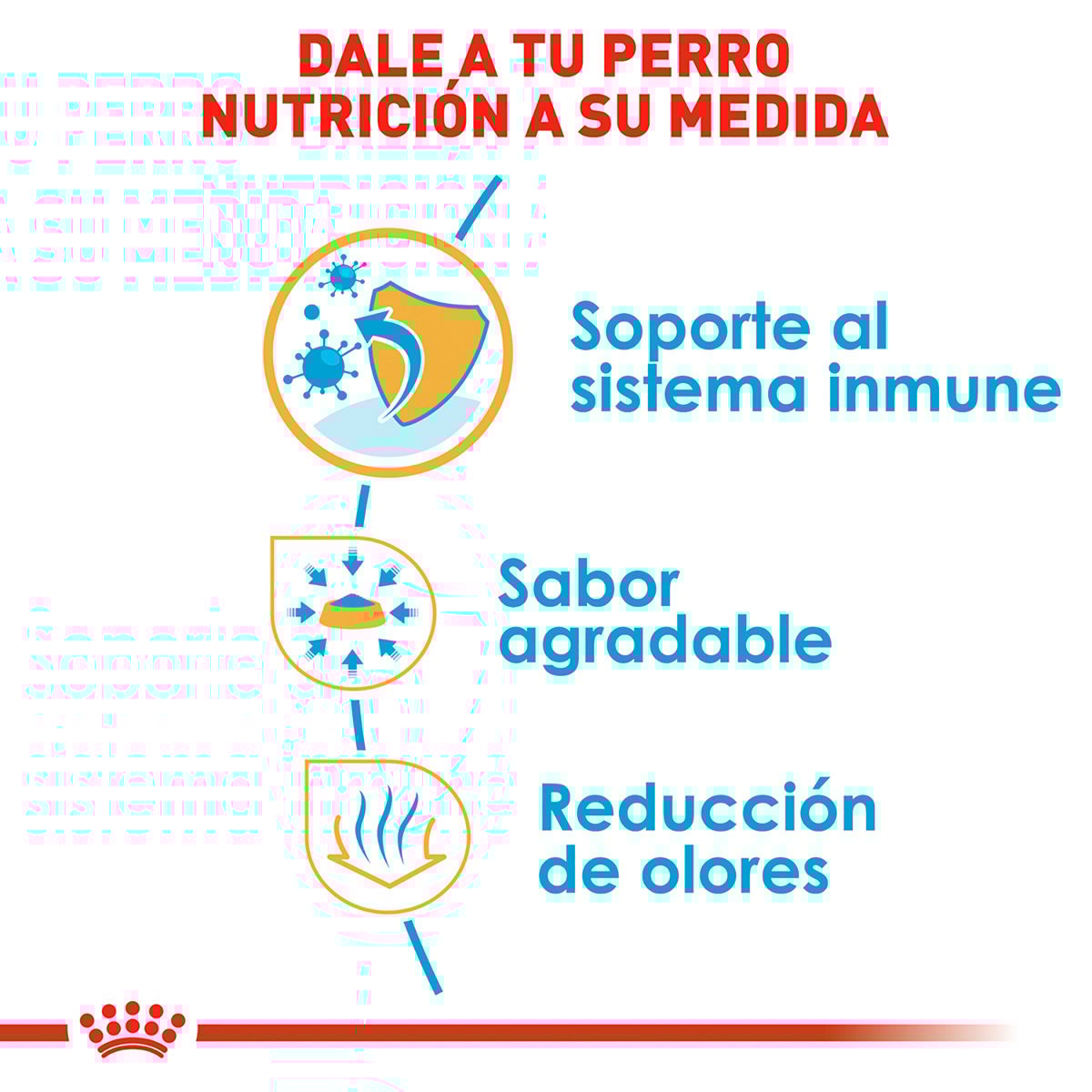 Alimento Royal Canin BHN Chihuahua Puppy 1.13kg