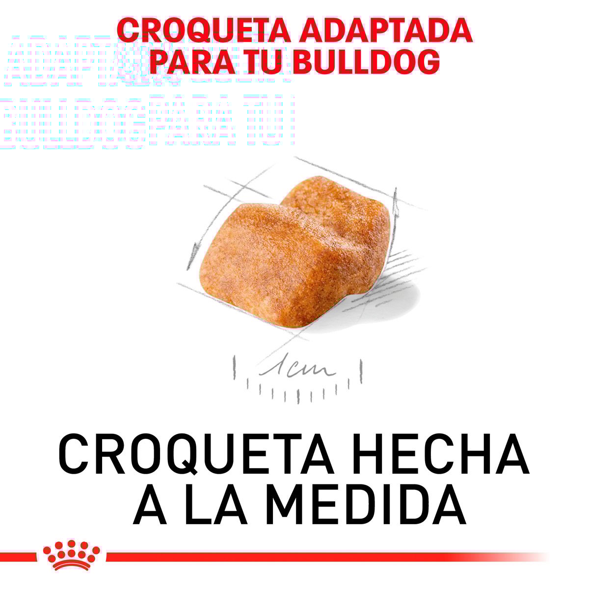 Royal Canin Bulldog Puppy (UNICAMENTE BAJO PEDIDO)