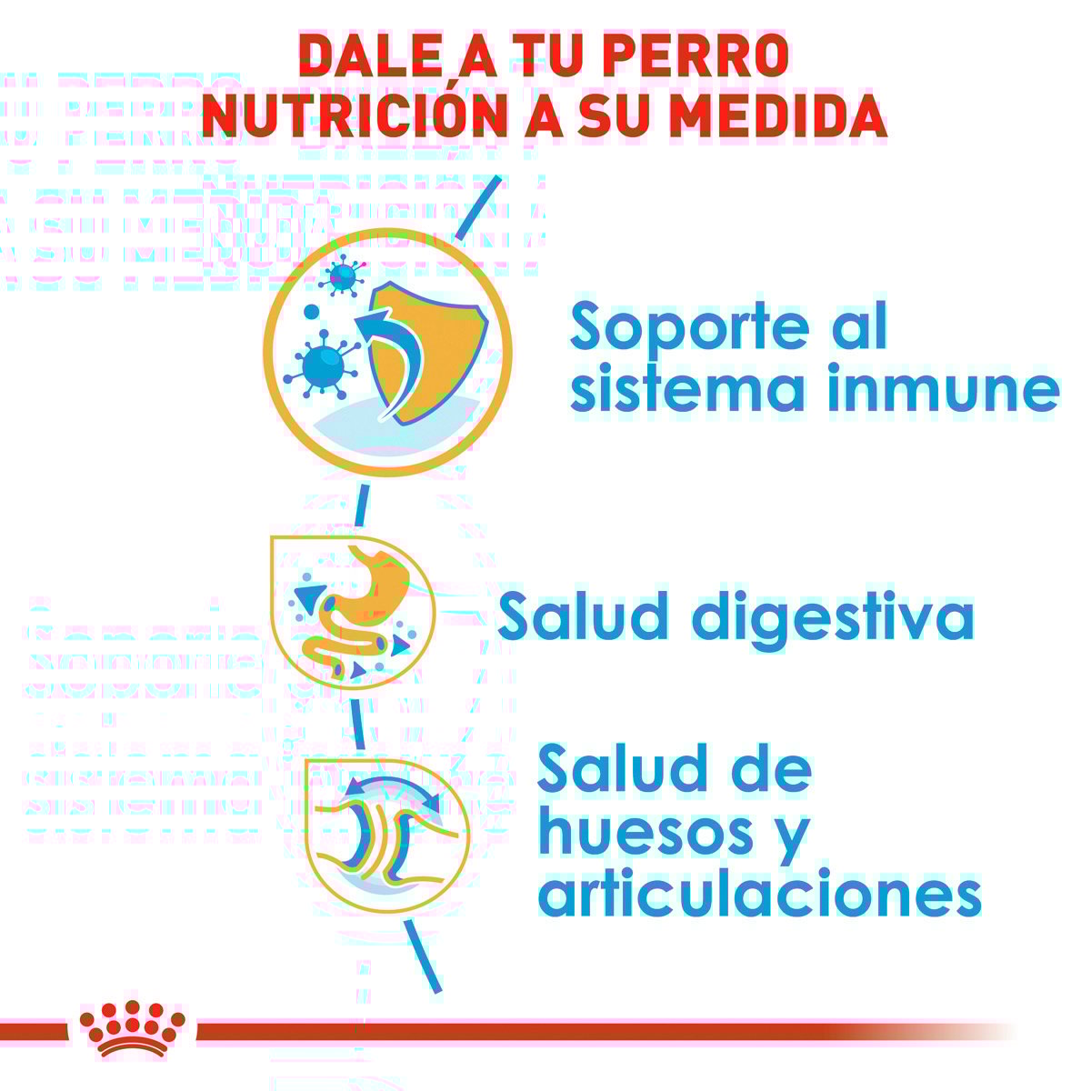 Royal Canin Bulldog Puppy (UNICAMENTE BAJO PEDIDO)