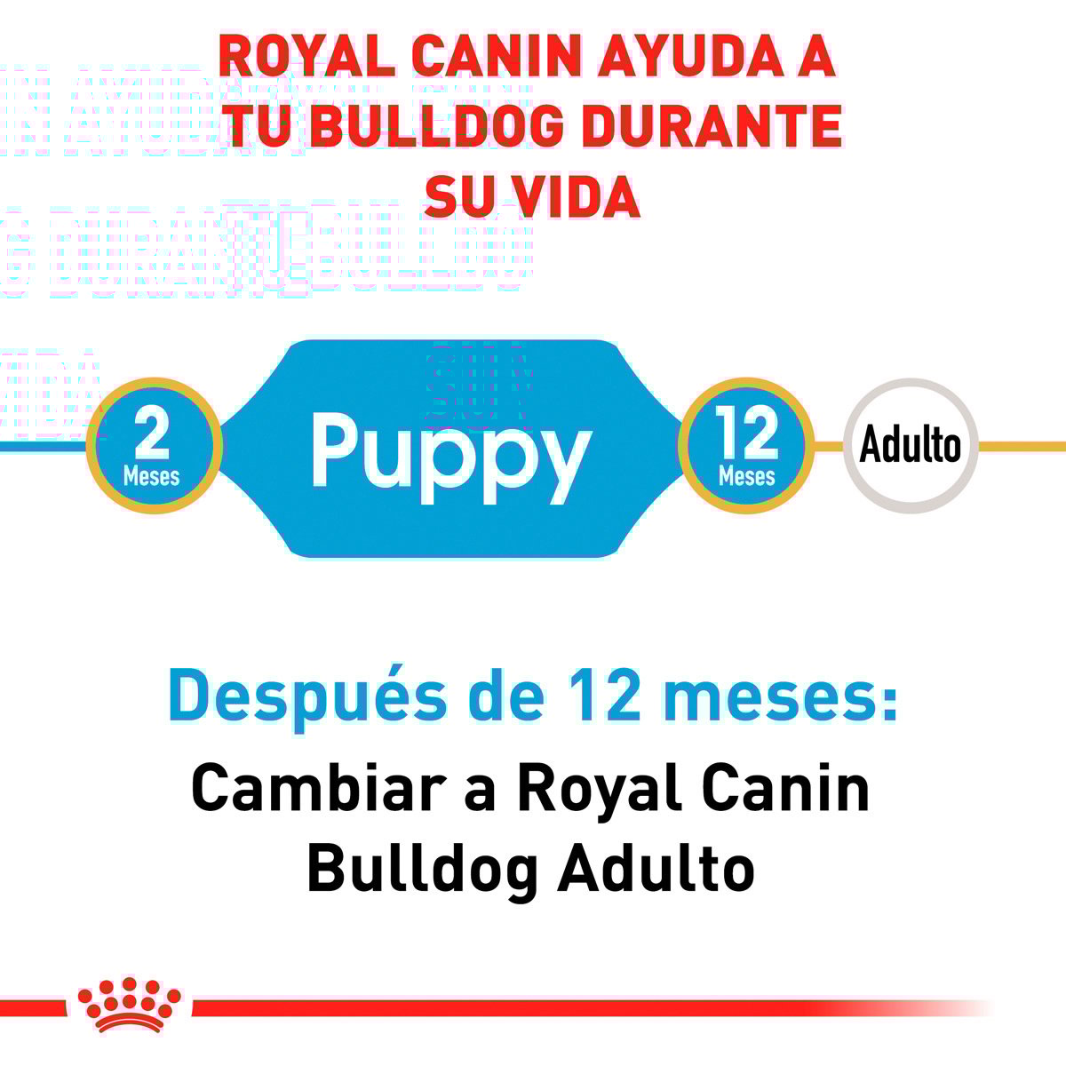 Royal Canin Bulldog Puppy (UNICAMENTE BAJO PEDIDO)