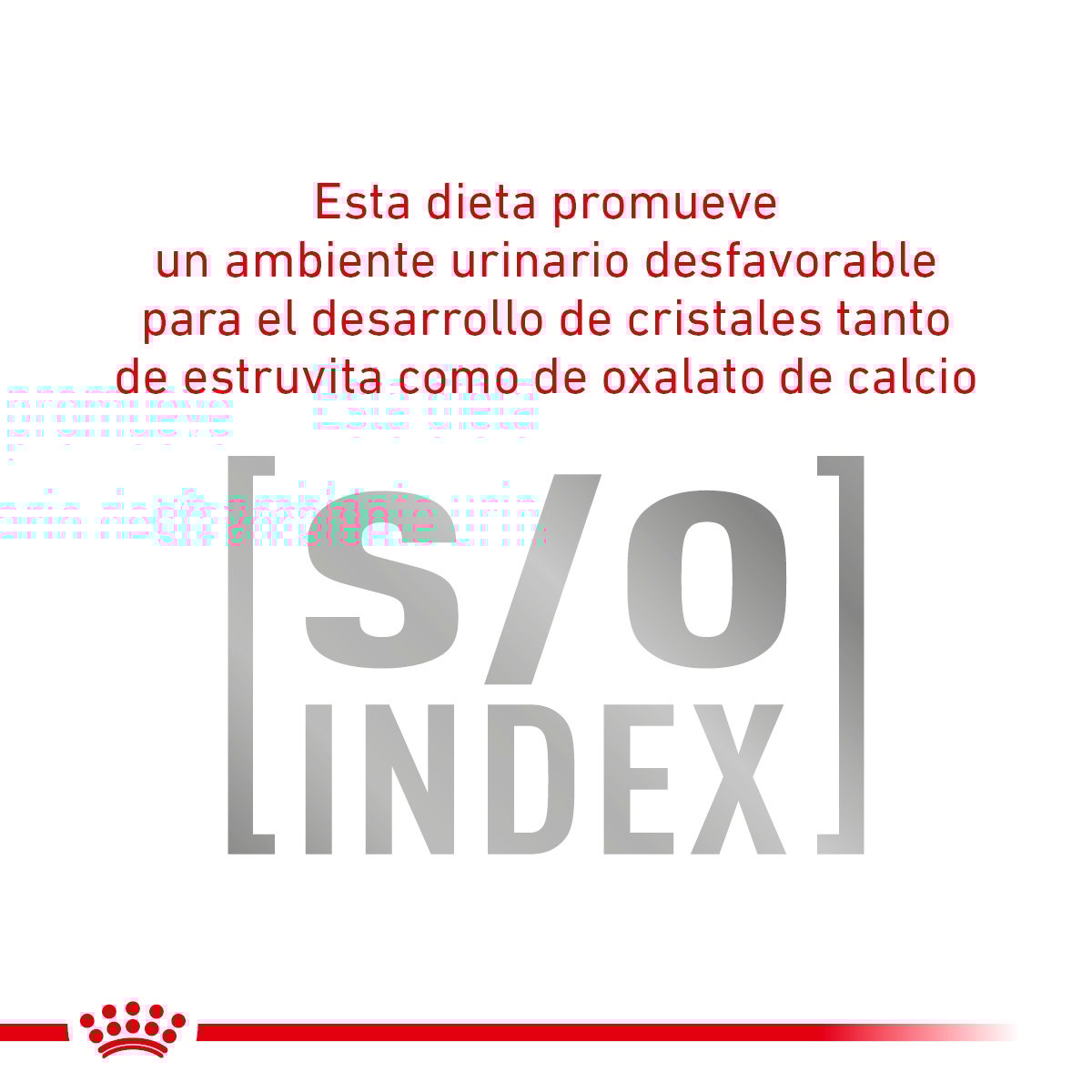 Alimento Royal Canin Urinary SO Moderate Calorie Para Perro Lata 355g