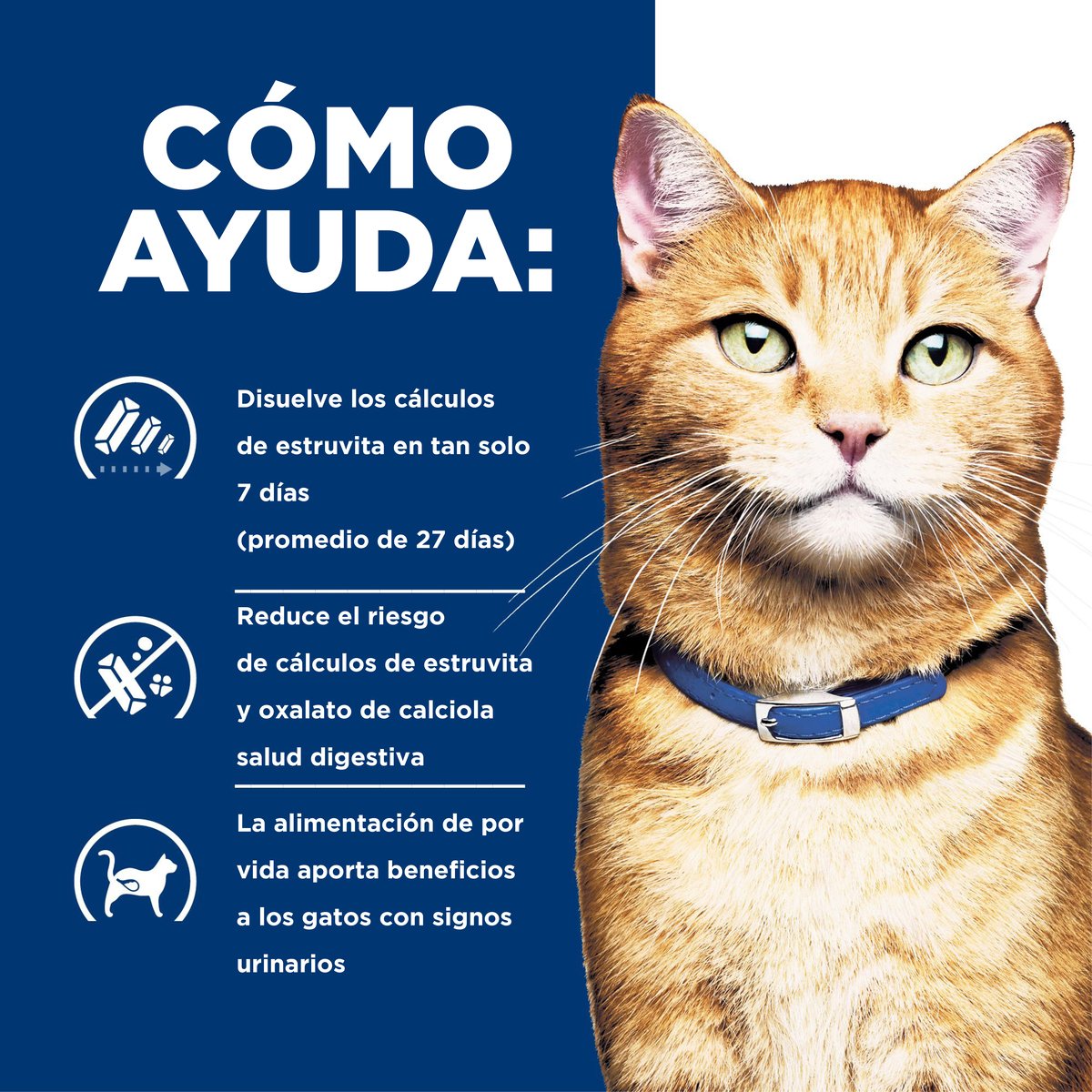 Alimento Hill's Prescription Diet c/d Cuidado Urinario Para Gato