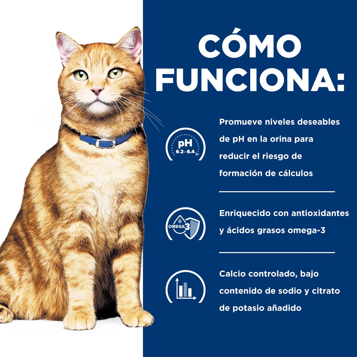 Alimento Hill's Prescription Diet c/d Cuidado Urinario Para Gato
