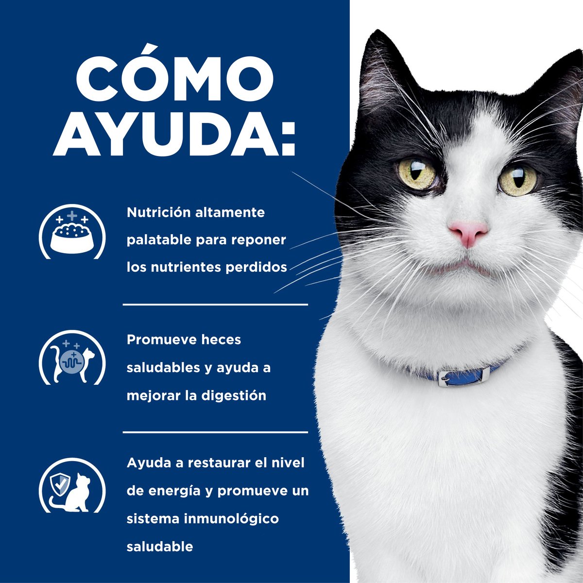 Hill's Prescription Diet i/d Cuidado Digestivo Para Gato Lata 156g