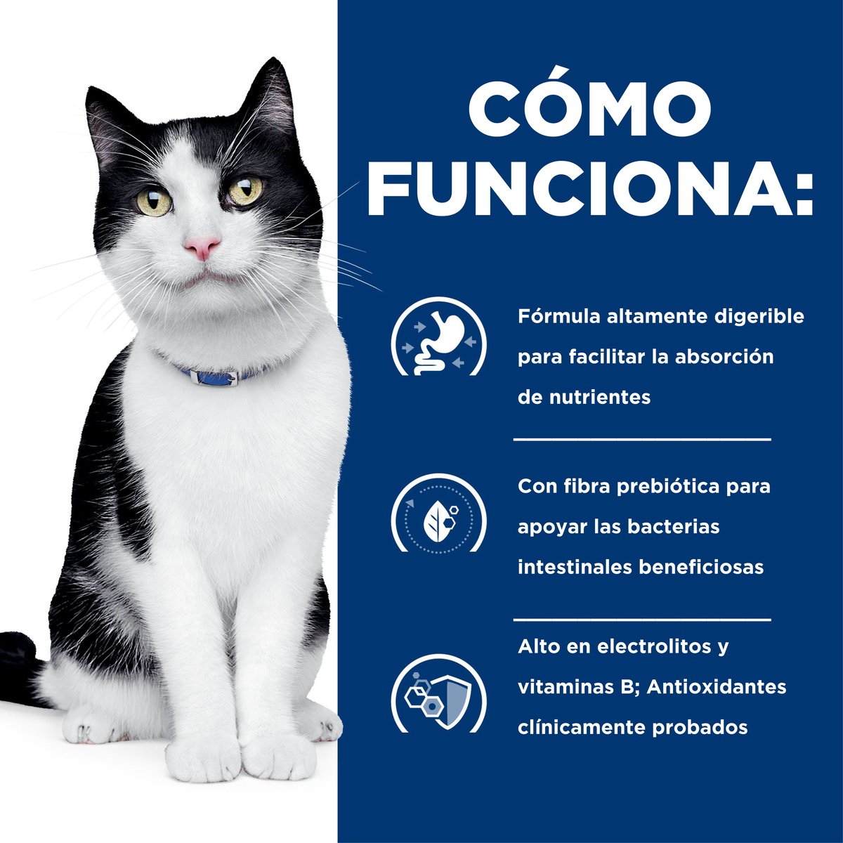 Hill's Prescription Diet i/d Cuidado Digestivo Para Gato Lata 156g