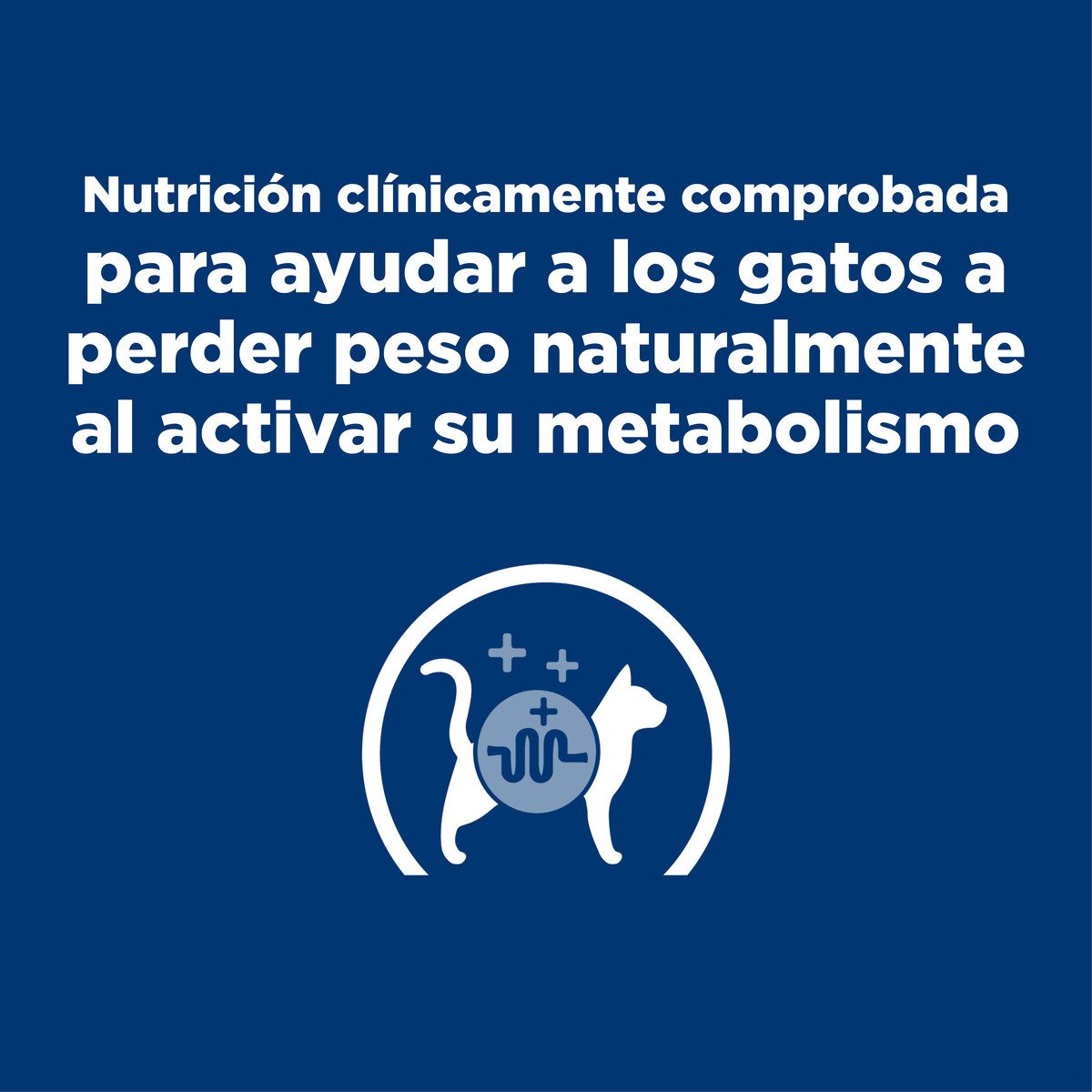 Alimento Hill's Prescription Diet Metabolic Para Gato