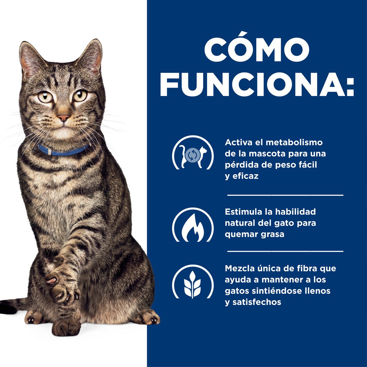 Alimento Hill's Prescription Diet Metabolic Para Gato