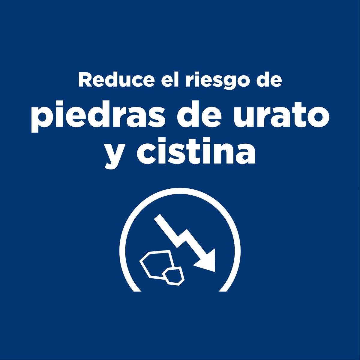 Alimento Hill's Prescription Diet u/d Cuidado Urinario Para Perro (BAJO PEDIDO UNICAMENTE)