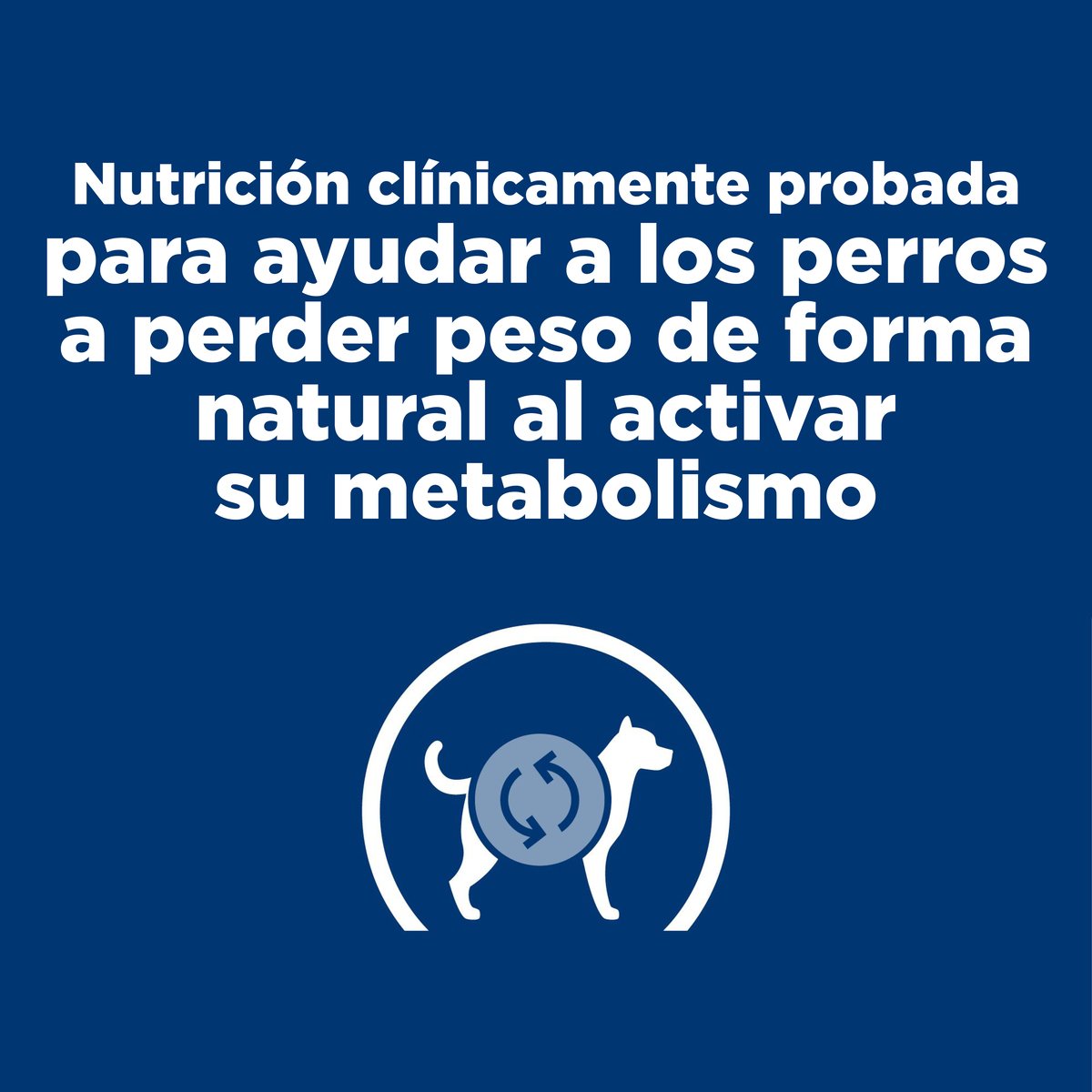 Alimento Hill's Prescription Diet Metabolic Para Perro
