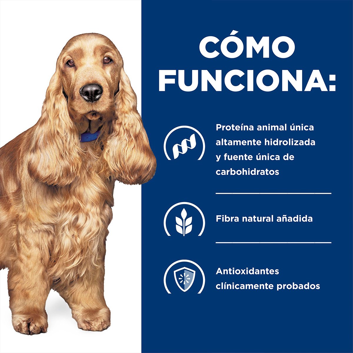 Alimento Hill's Prescription Diet z/d Sensibilidad Alimenticia Para Perro Lata 370g