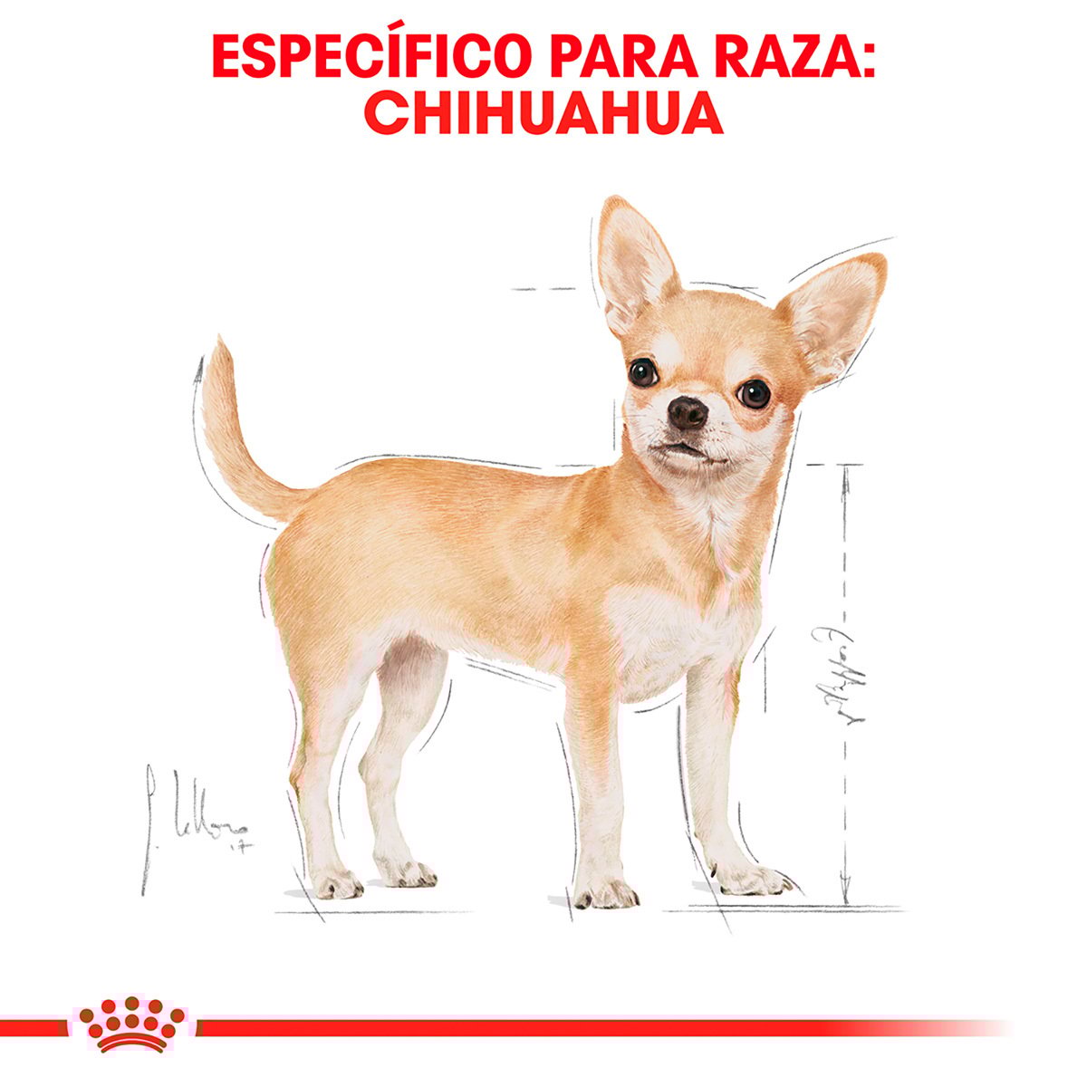 Alimento Royal Canin BHN Chihuahua Adulto