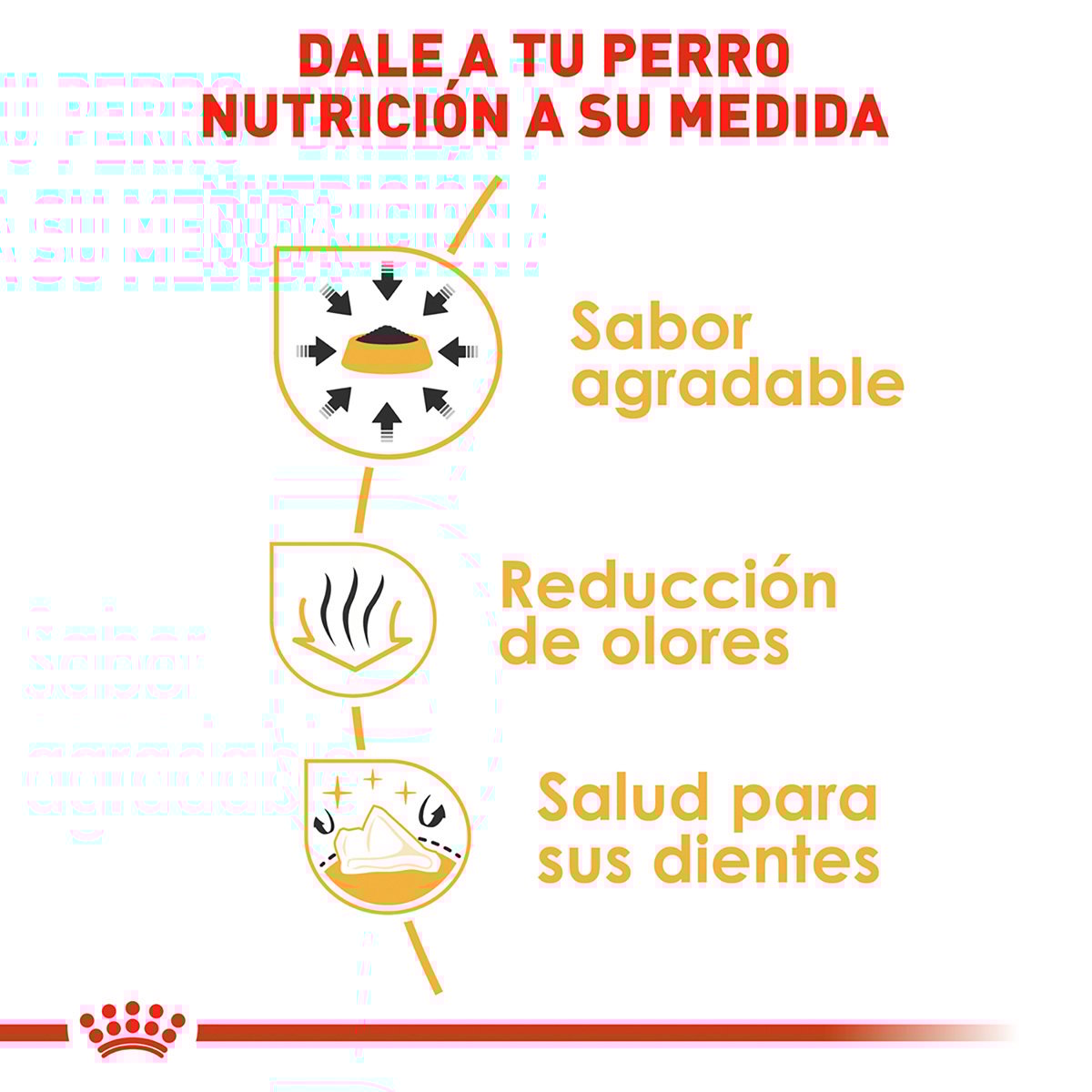Alimento Royal Canin BHN Chihuahua Adulto