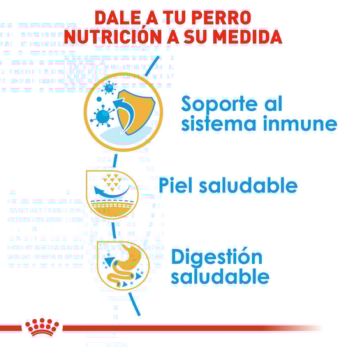 Alimento Royal Canin BHN Pug Puppy 1.13kg