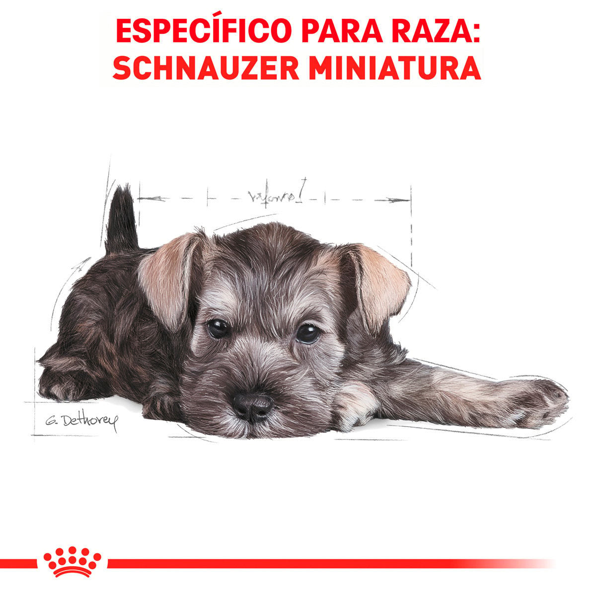Alimento Royal Canin BHN Miniature Schnauzer Puppy 1.13kg
