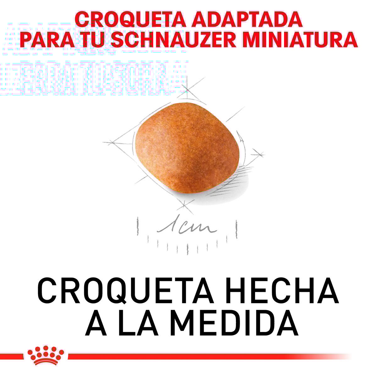 Alimento Royal Canin BHN Miniature Schnauzer Puppy 1.13kg