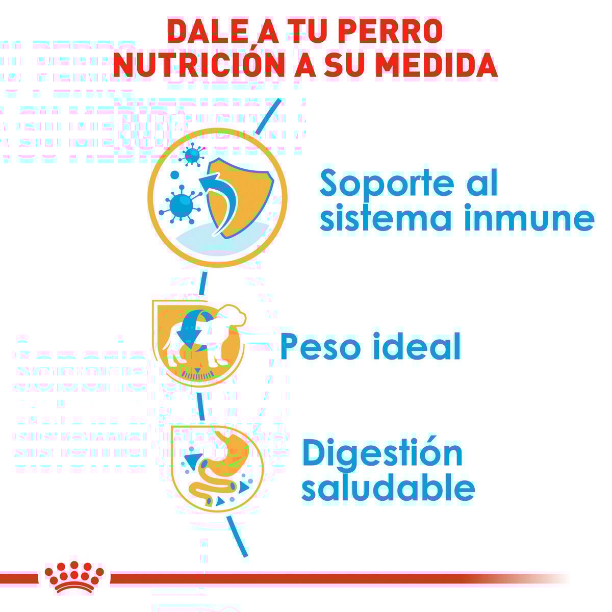 Alimento Royal Canin BHN Miniature Schnauzer Puppy 1.13kg