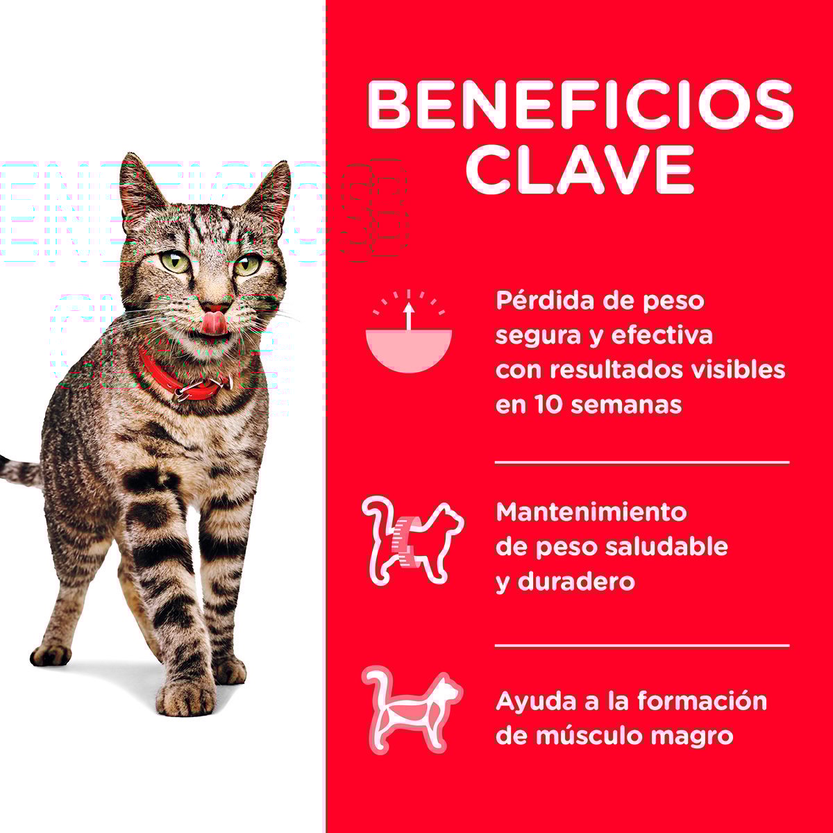 Alimento Hill's Science Diet Adulto Peso Perfecto Para Gato (UNICAMENTE BAJO PEDIDO)