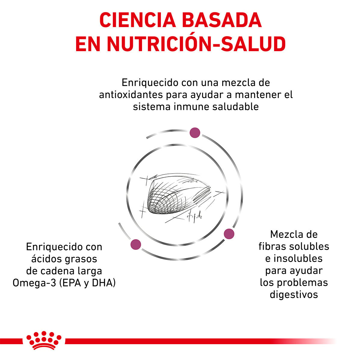 Alimento Royal Canin Soporte Renal F Para Gato