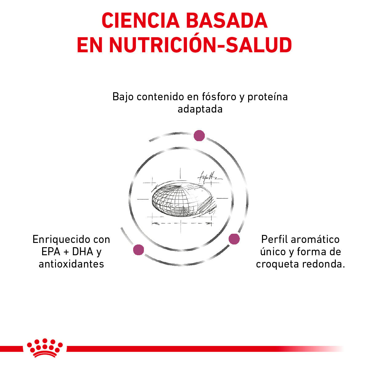 Alimento Royal Canin Soporte Renal S Para Perro