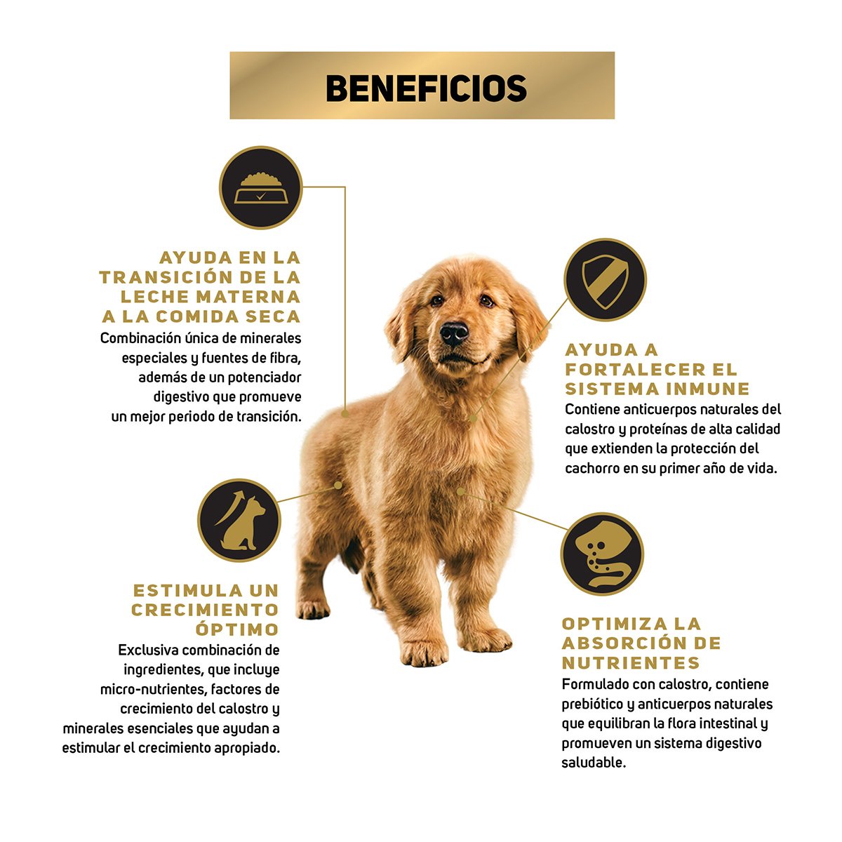 Alimento Pro Plan Cachorro Razas Medianas