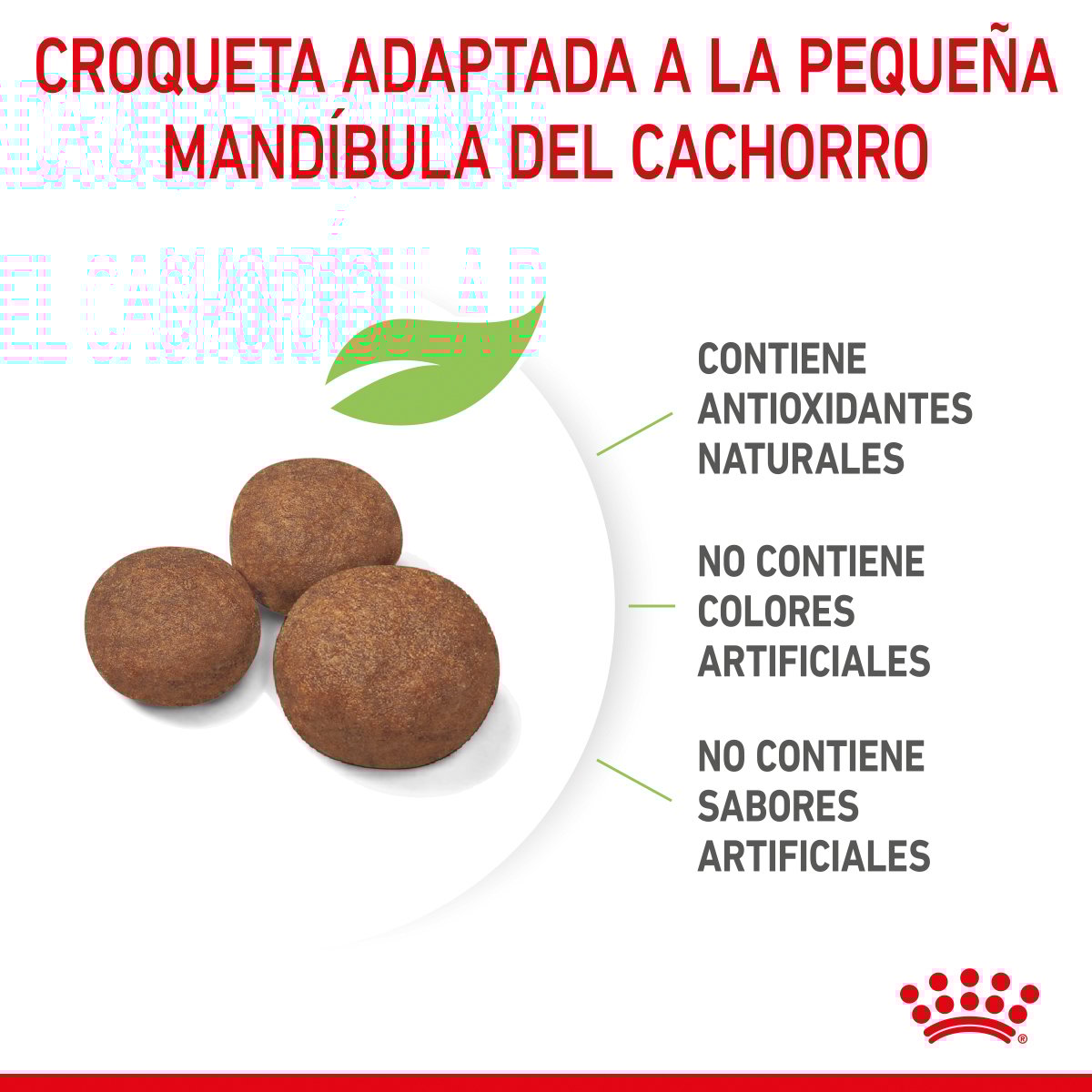 Alimento Royal Canin Para Perro Cachorro Raza Grande