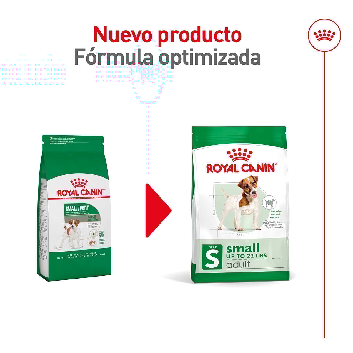 Alimento Royal Canin Adulto Razas Pequeñas