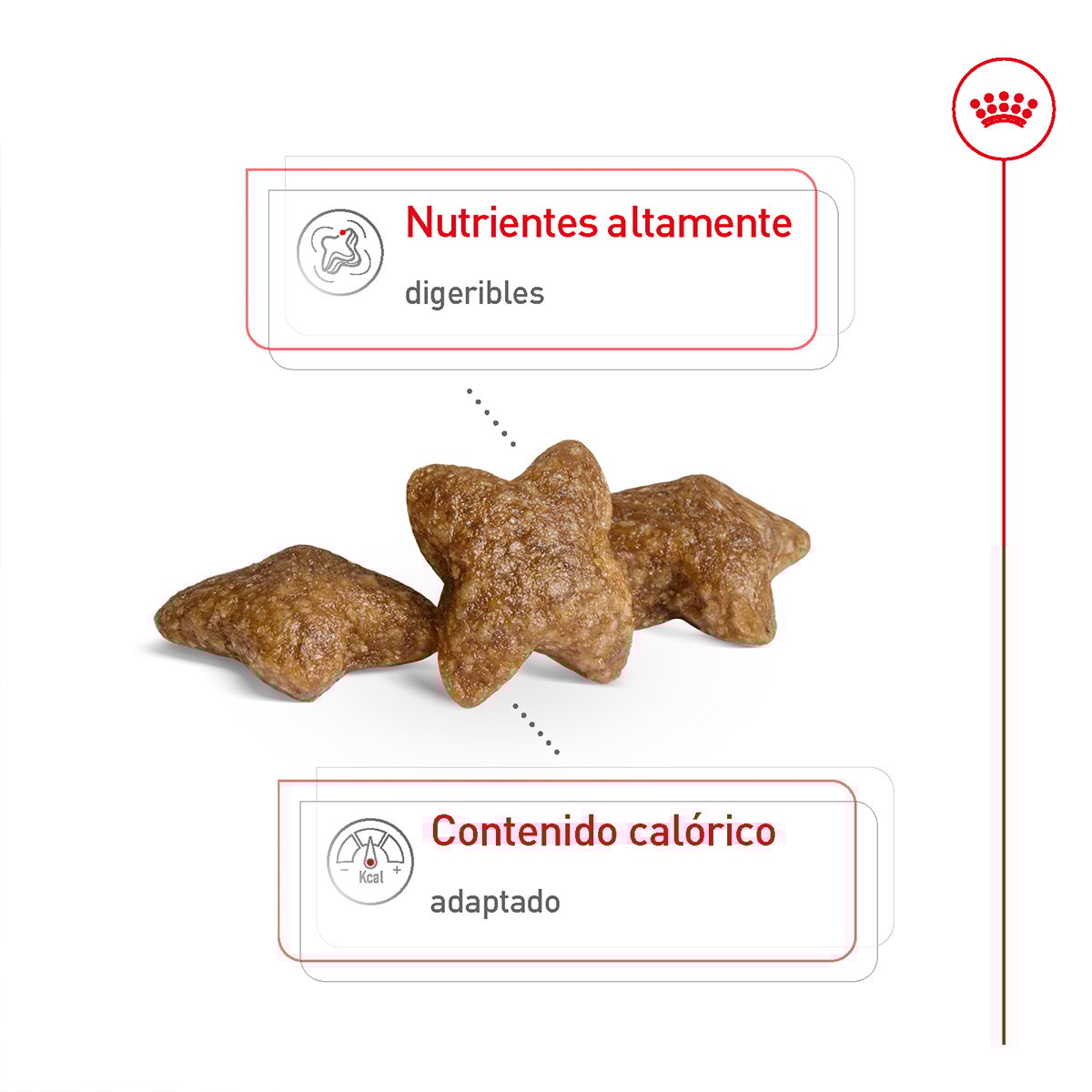 Alimento Royal Canin Adulto Razas Pequeñas