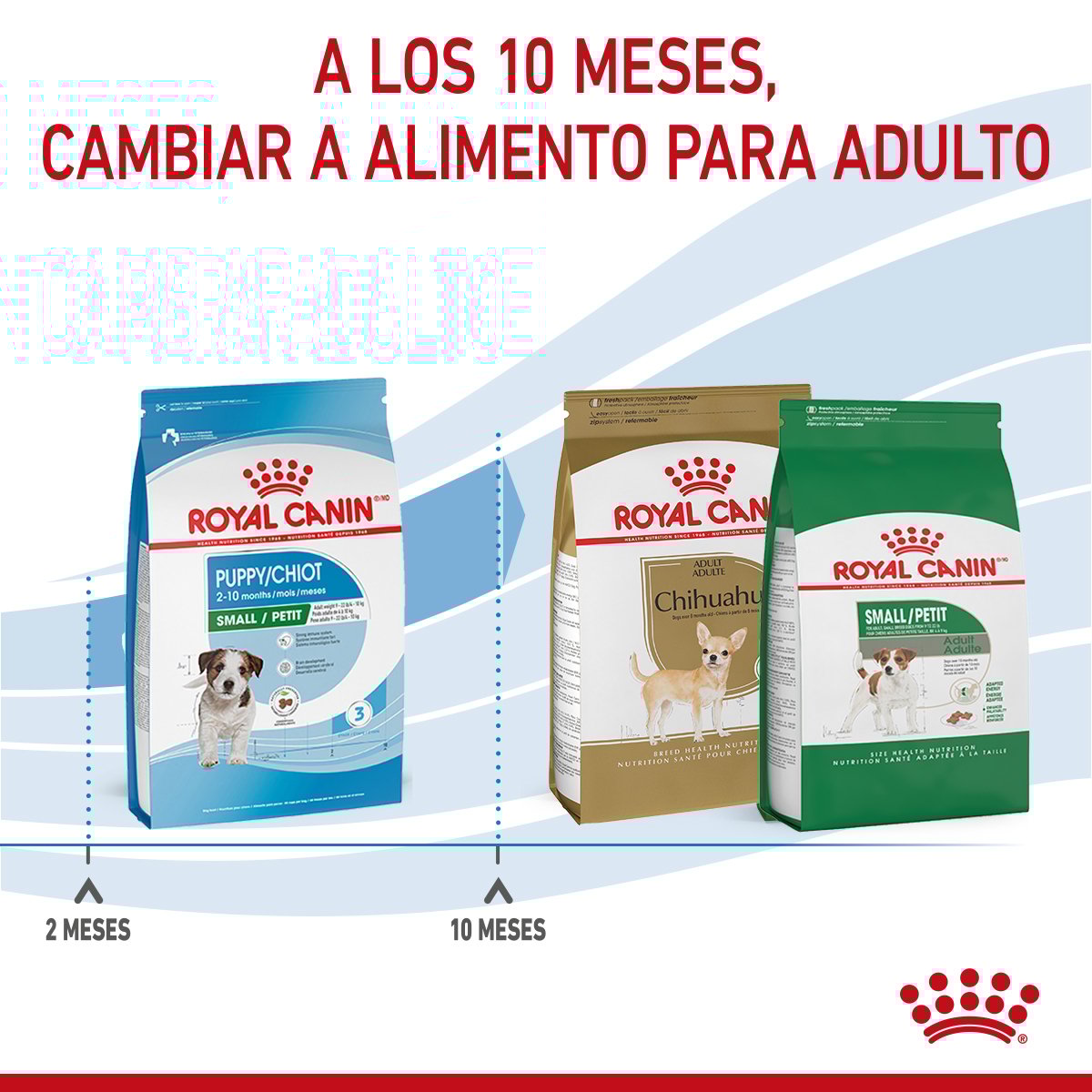 Alimento Royal Canin Para Perro Cachorro Raza Pequeña