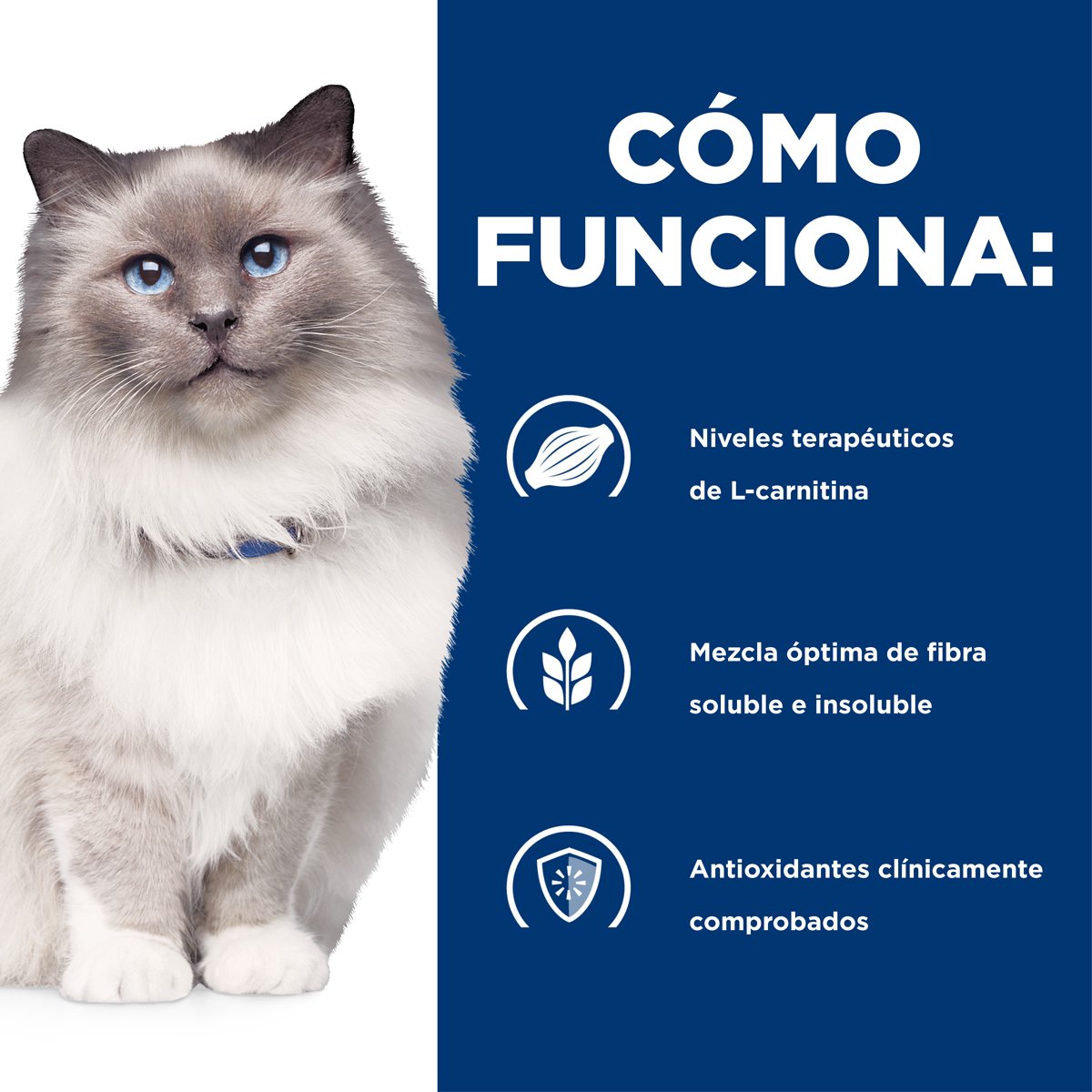 Alimento Hill's Prescription Diet r/d Reducción de Peso Para Gato 3.9kg